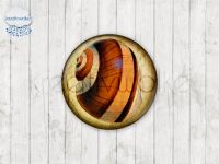 Motiv-Cabochons 49243-1 Einzelset  